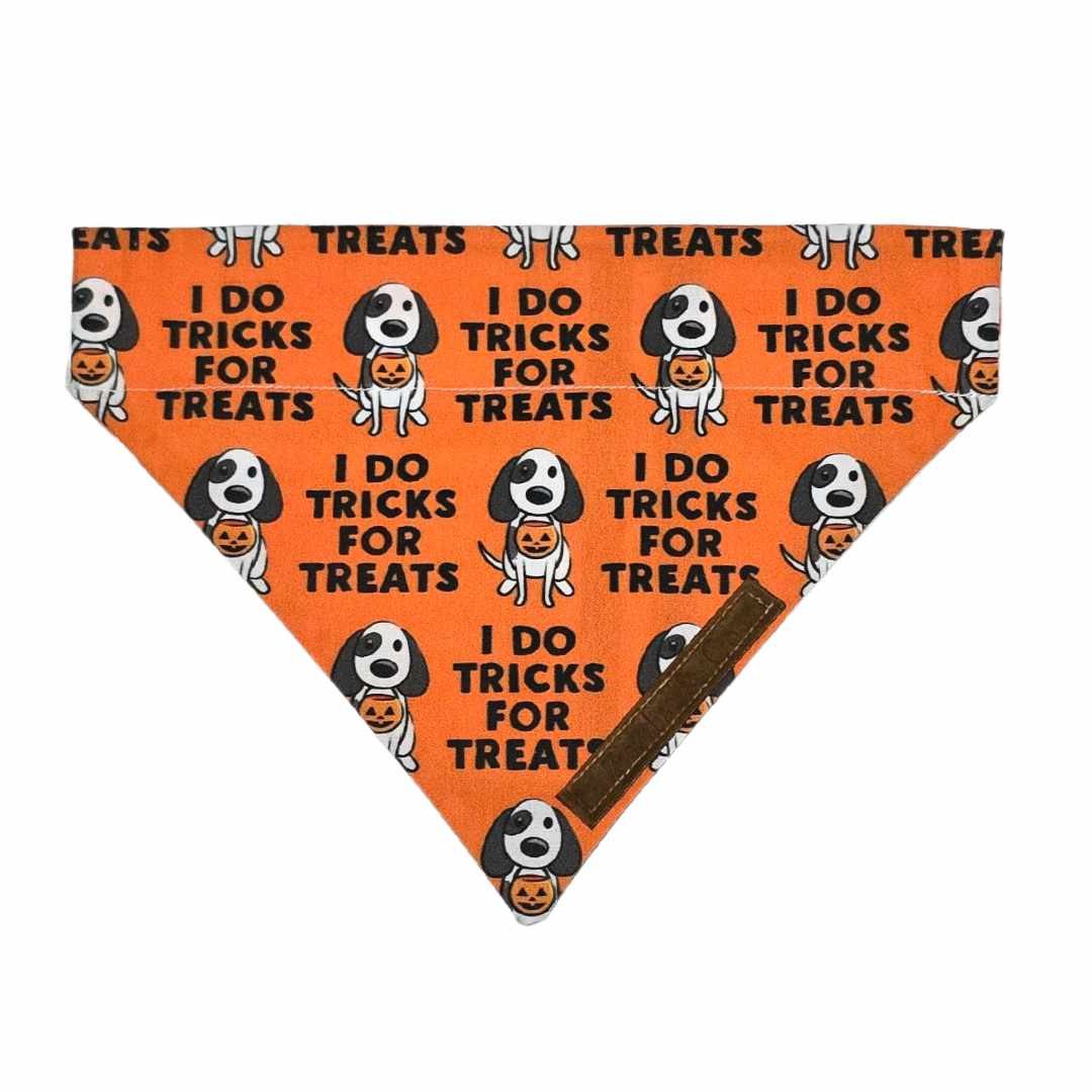 Tricks For Treats Bandana