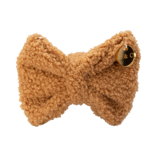 Latte Teddy Bow Tie