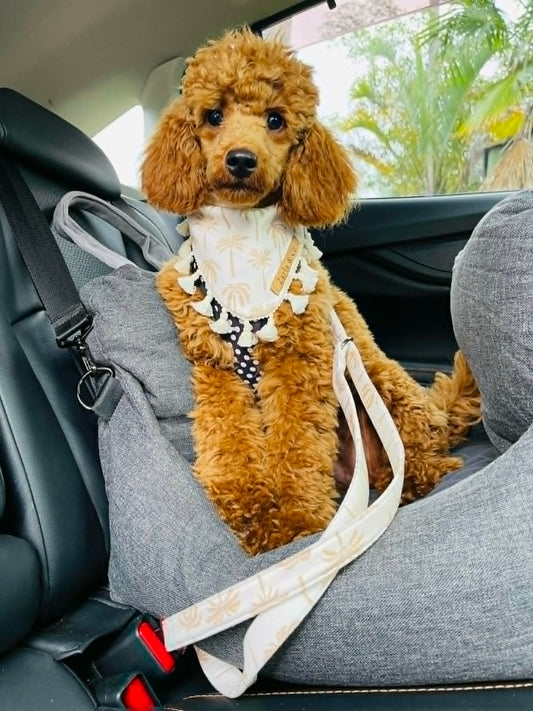 Cove Car Restraint